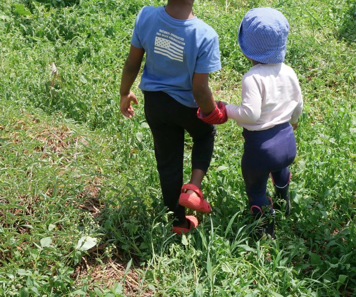 Zuri’s Brave Garden Adventure